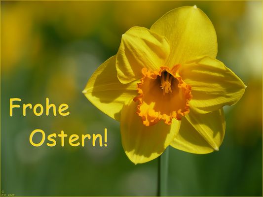 Frohe Ostern ...
