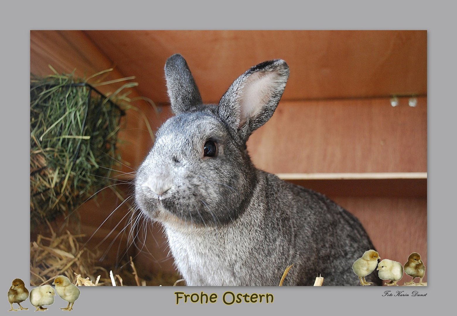 Frohe Ostern