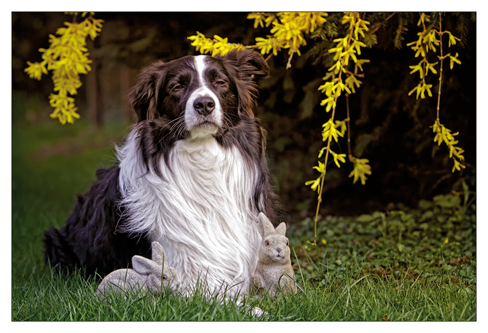 Frohe Ostern