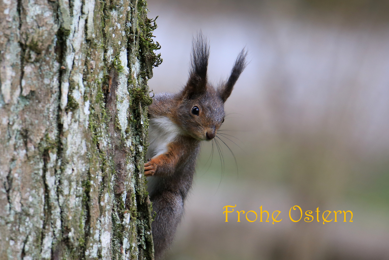 Frohe Ostern