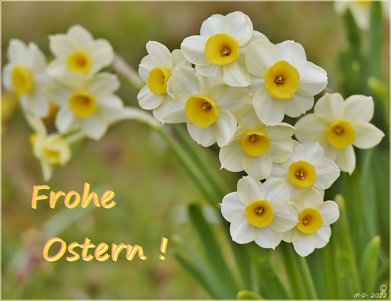 °°° Frohe Ostern °°°...