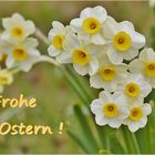 °°° Frohe Ostern °°°...