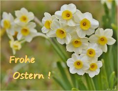 °°° Frohe Ostern °°°...