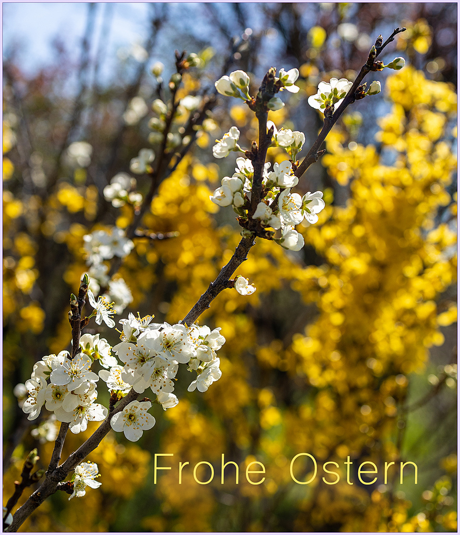 Frohe Ostern!