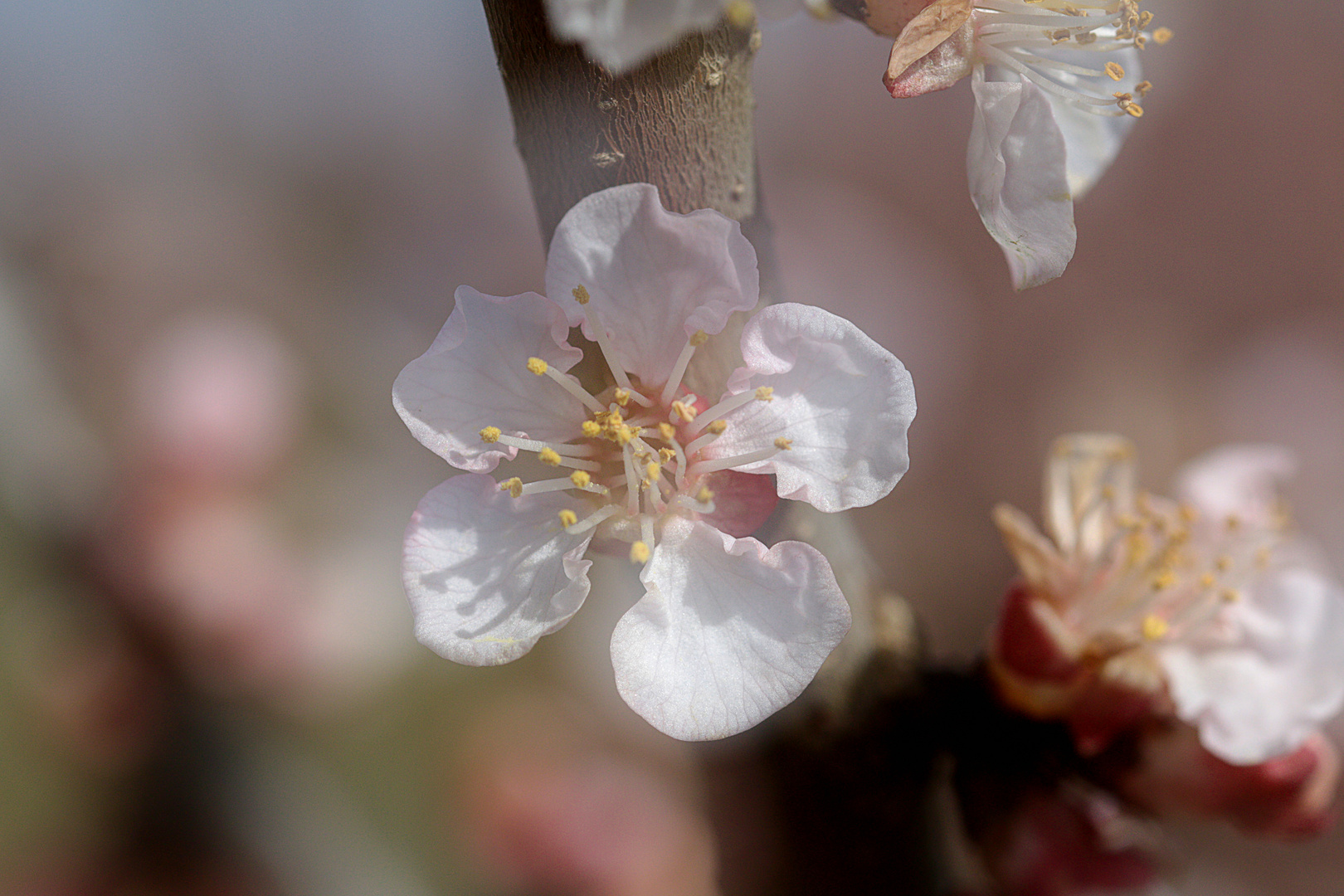 Frohe Ostern