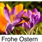 Frohe Ostern