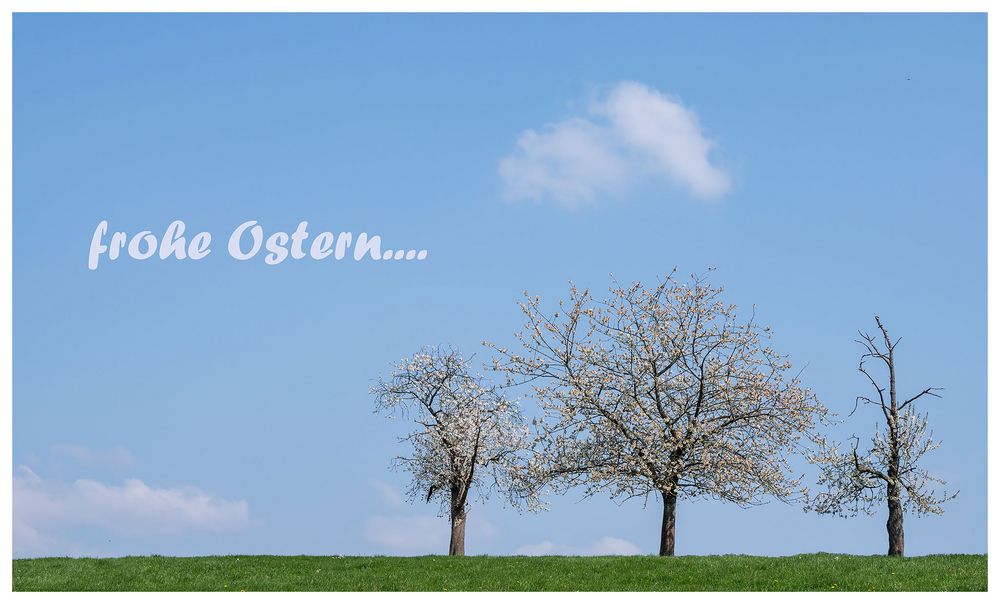 frohe ostern.....