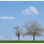 frohe ostern.....
