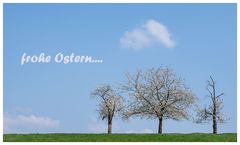 frohe ostern.....