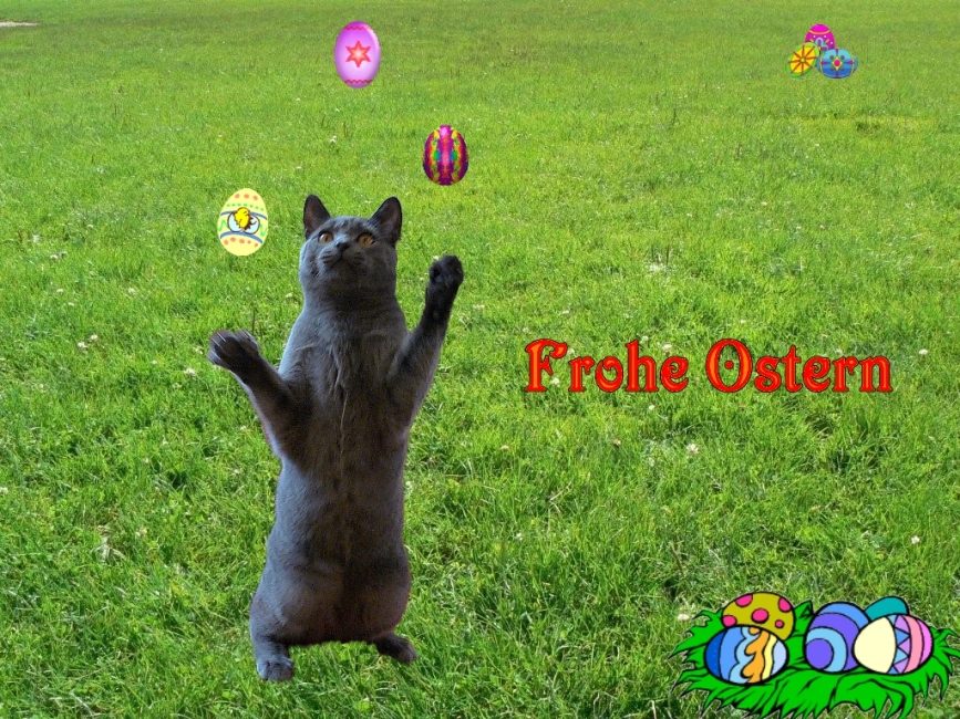 Frohe Ostern