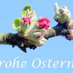 Frohe Ostern !