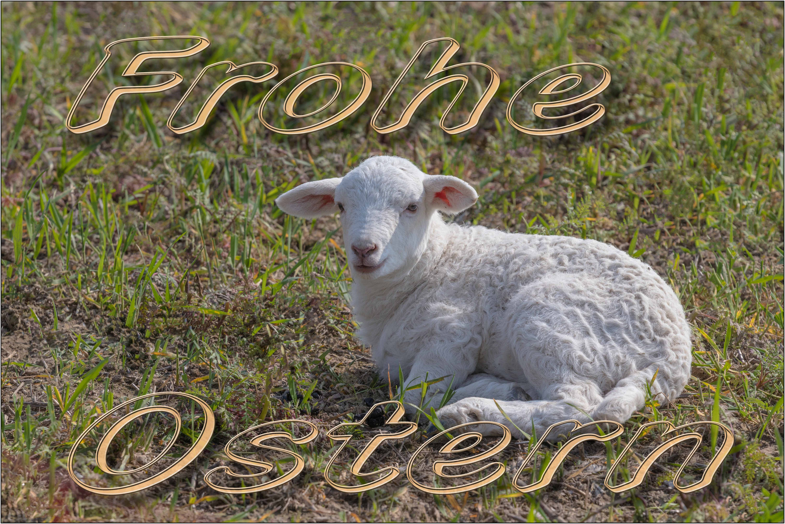 - Frohe Ostern -