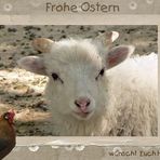 Frohe Ostern