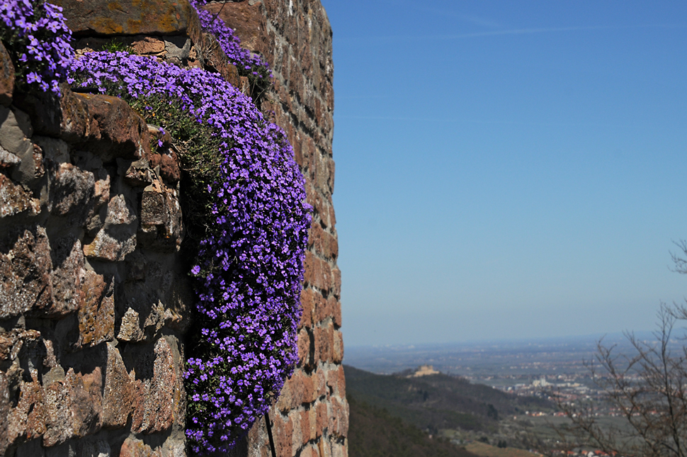 Frohe Ostern