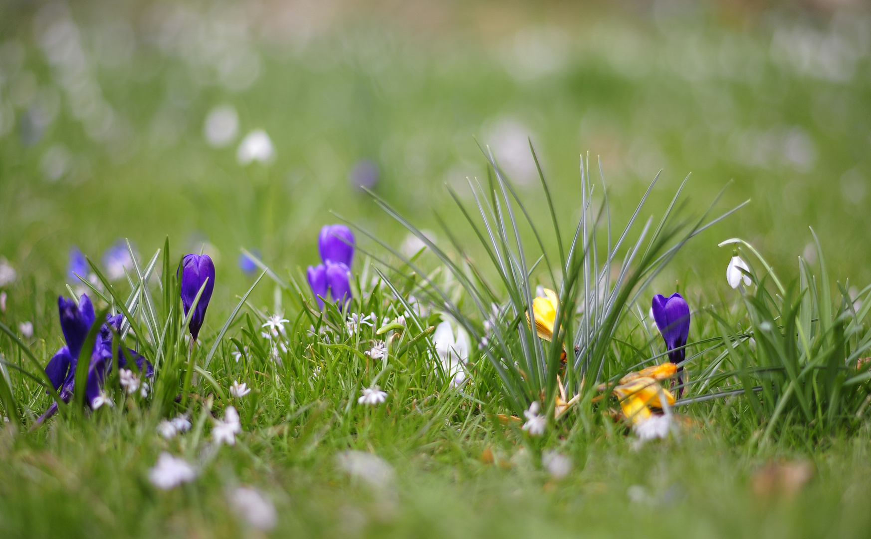 Frohe Ostern!!! Foto & Bild | landschaft, Äcker, felder & wiesen