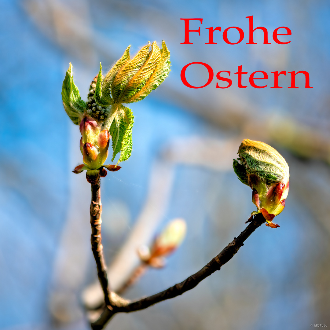 Frohe Ostern 