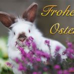 Frohe Ostern