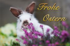 Frohe Ostern