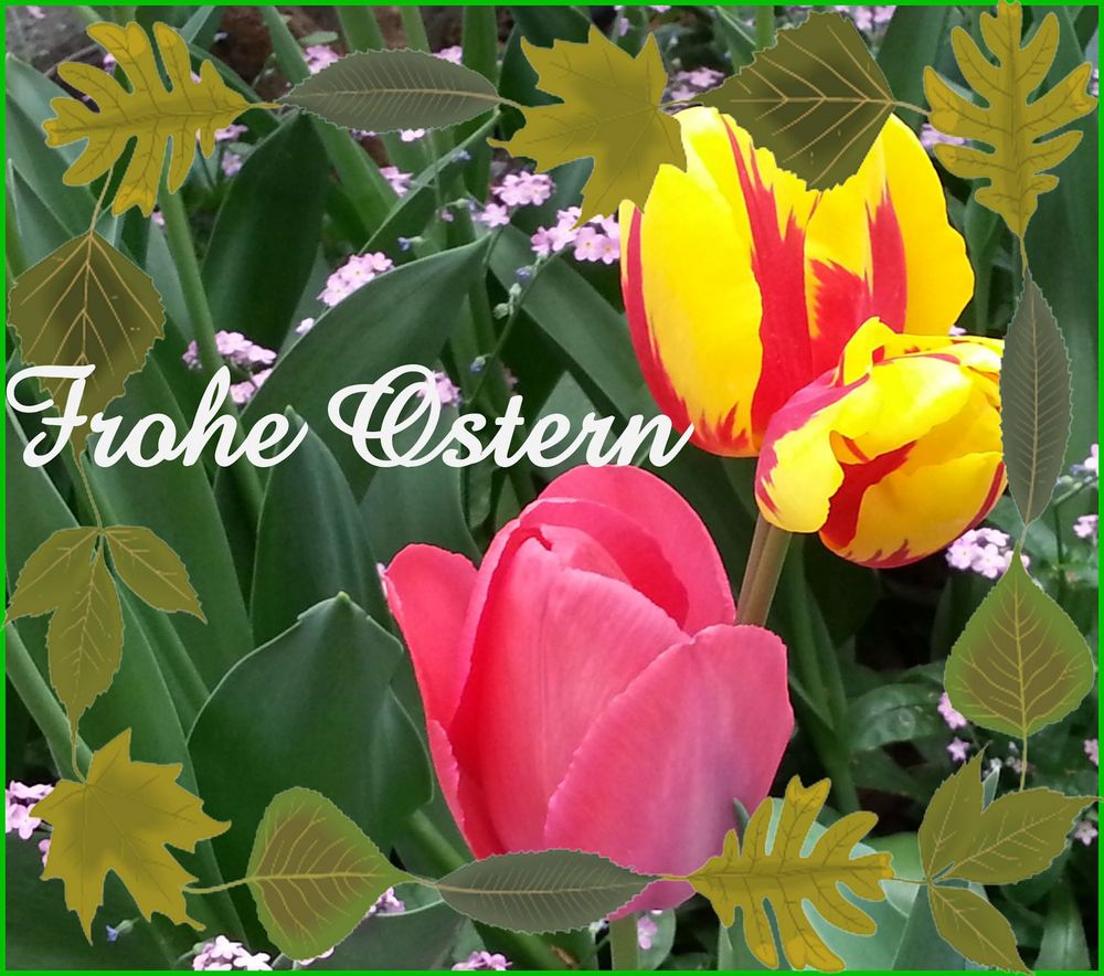 Frohe OSTERN Foto & Bild | blumen, frühling, frühblüher Bilder auf