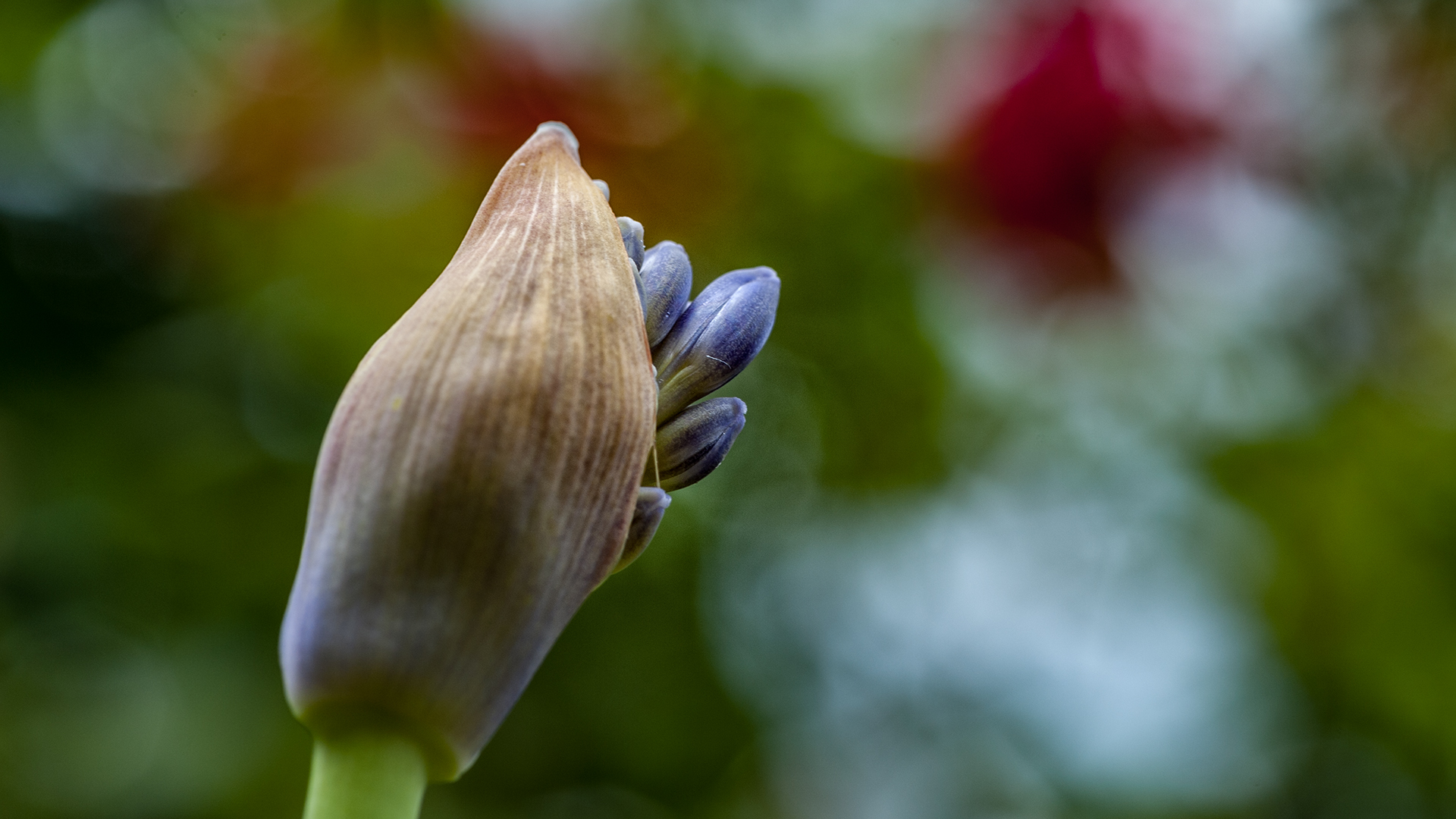 Frohe Ostern