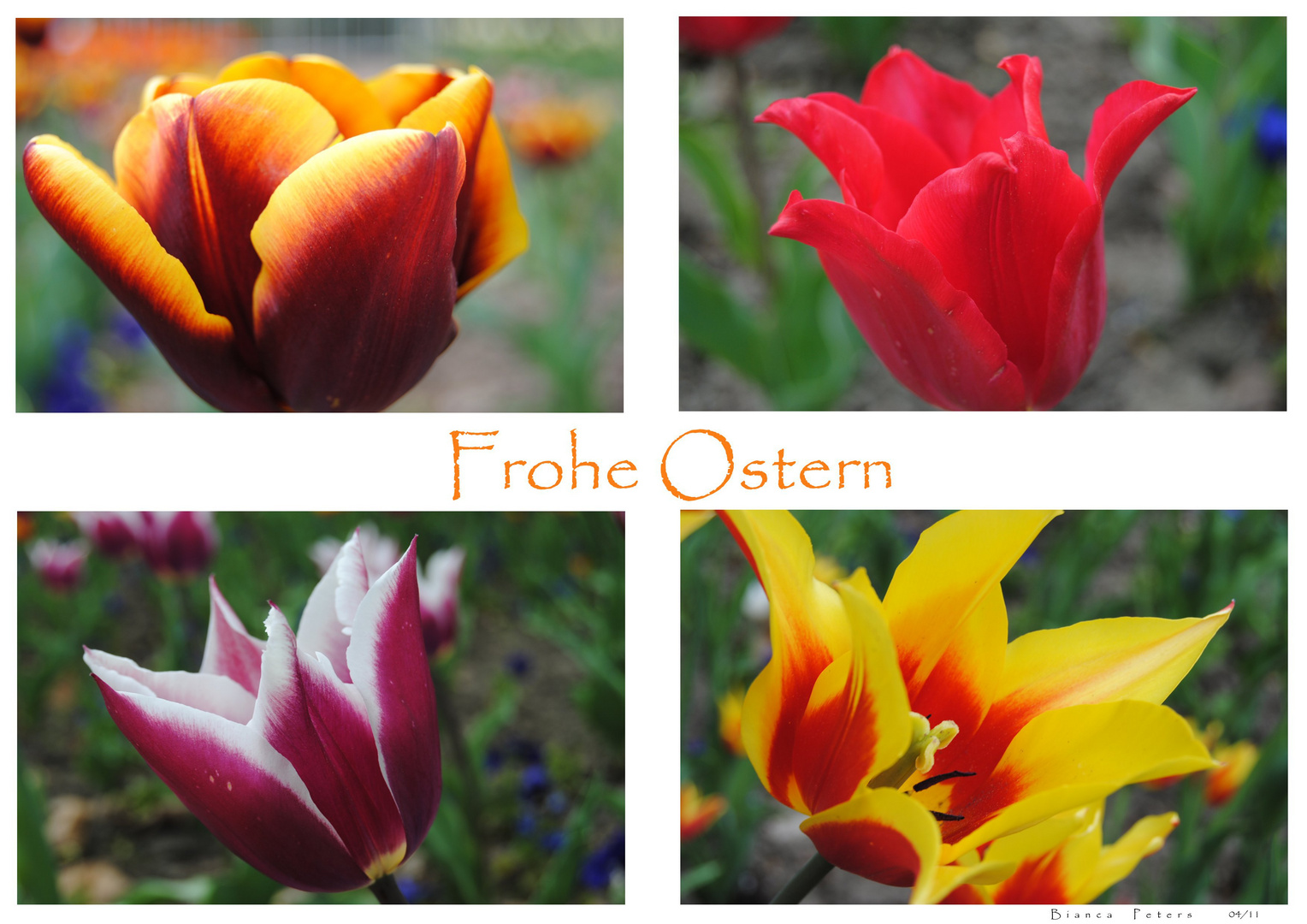 Frohe Ostern