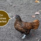 Frohe Ostern...