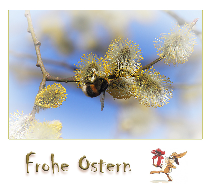 Frohe Ostern!