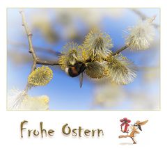 Frohe Ostern!