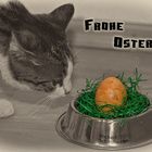 Frohe Ostern!