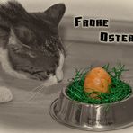 Frohe Ostern!