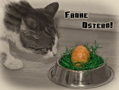 Frohe Ostern!