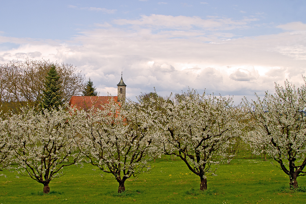 FROHE OSTERN