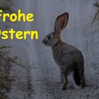 Frohe Ostern