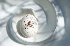Frohe Ostern
