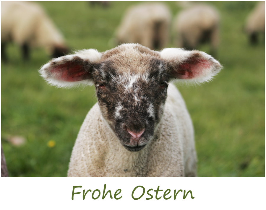 Frohe Ostern