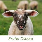 Frohe Ostern