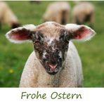 Frohe Ostern