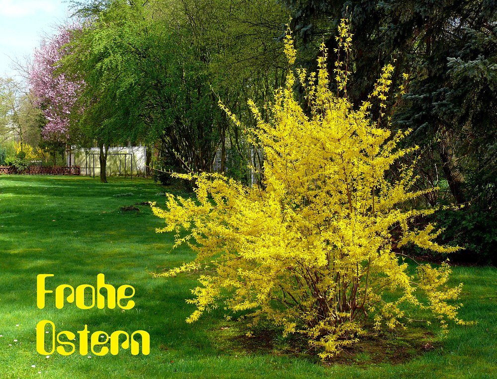 Frohe Ostern…