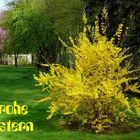 Frohe Ostern…