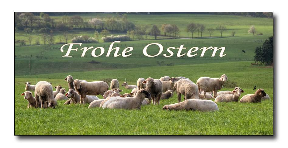 frohe ostern ...