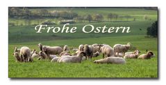 frohe ostern ...