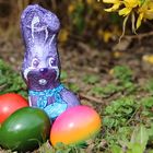 Frohe Ostern:-)