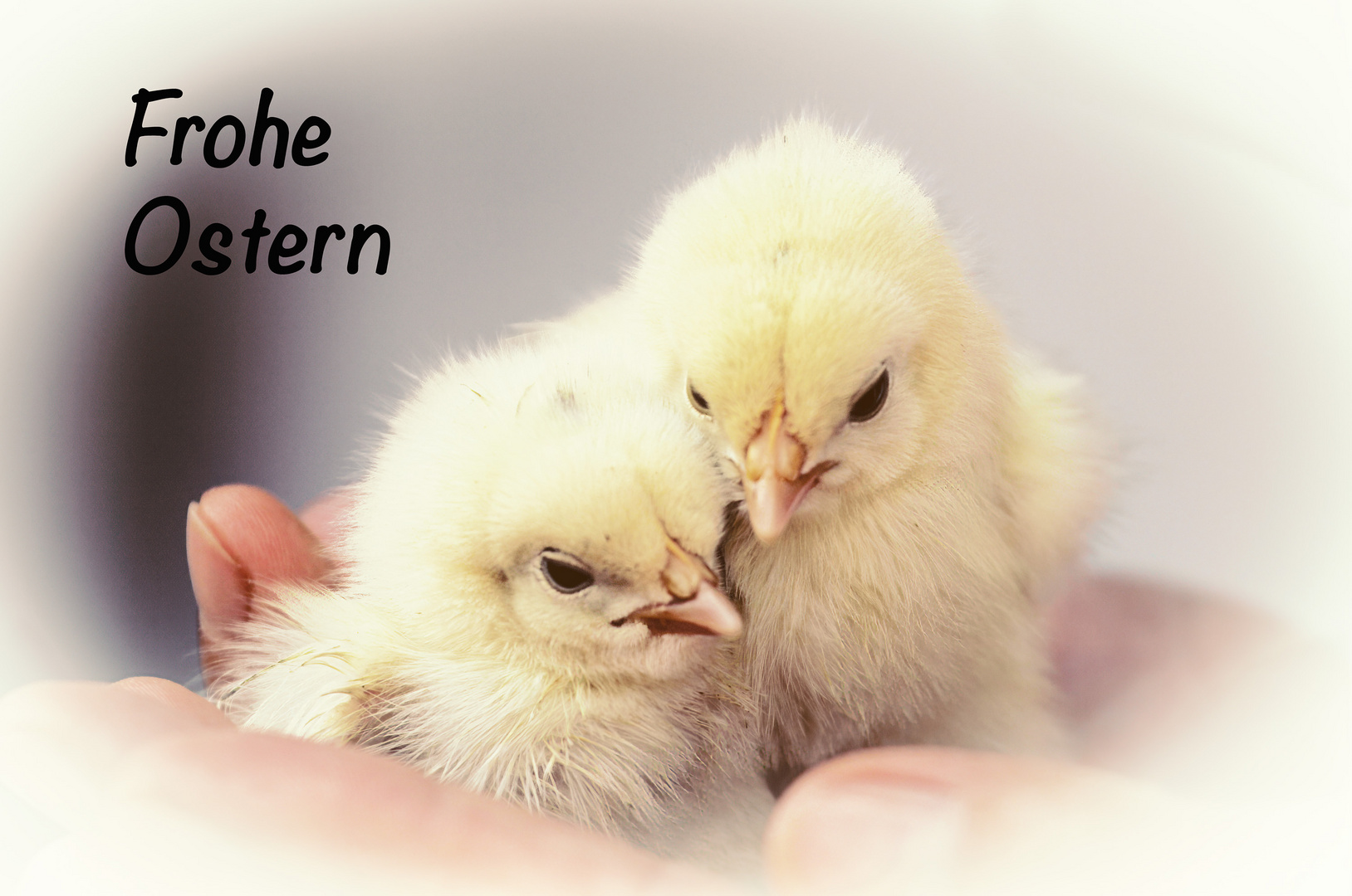 Frohe Ostern