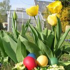 Frohe Ostern