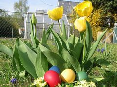 Frohe Ostern