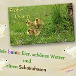 FROHE OSTERN!