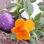 Frohe Ostern