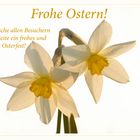 Frohe Ostern!