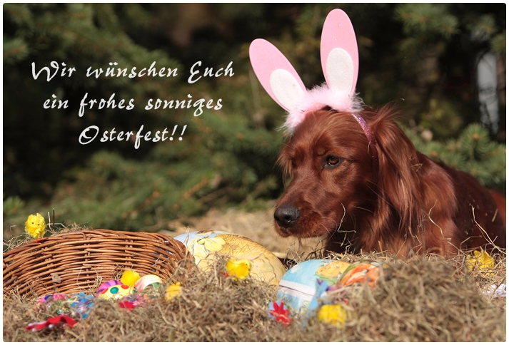 *Frohe Ostern*