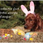 *Frohe Ostern*